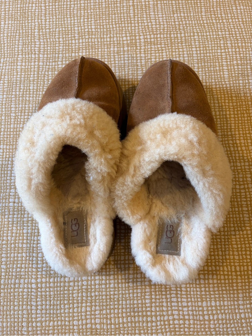 UGG Disquette Slippers
